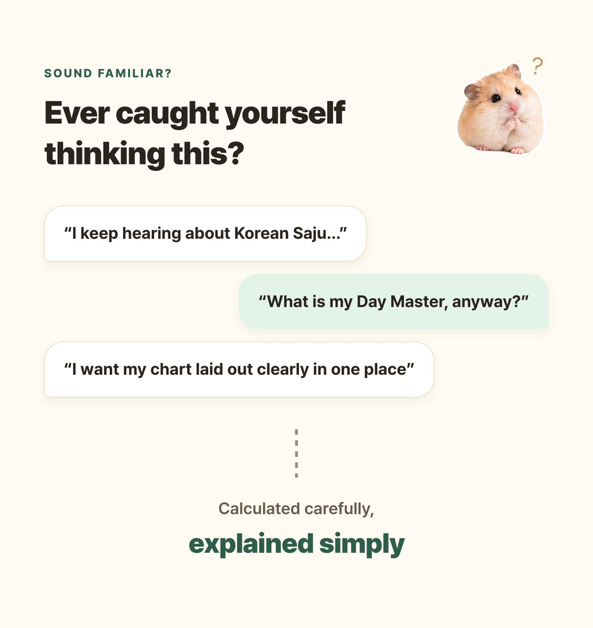 Hamzzi · Saju Chart Report PDF — Who this reading is for