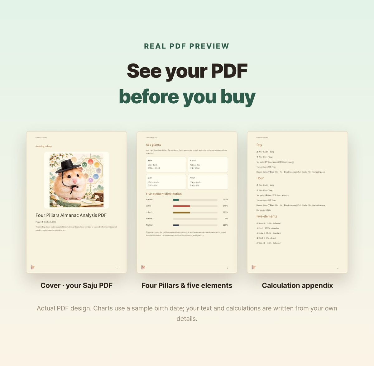 Hamzzi · Saju Chart Report PDF — Blurred sample PDF page layouts
