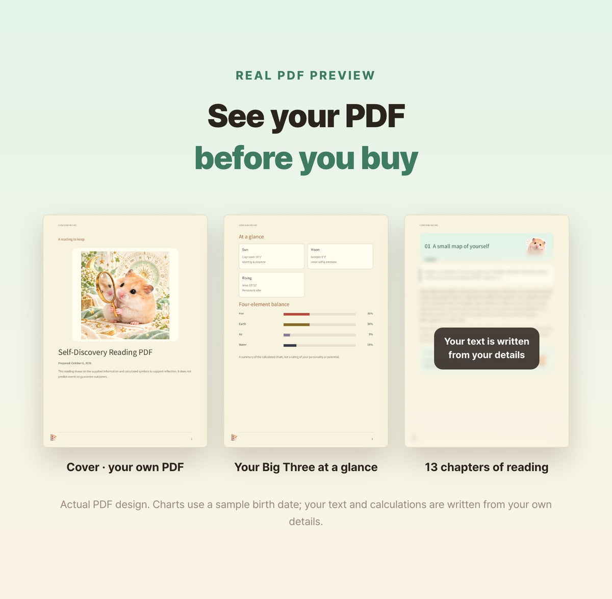 Hamzzi · Self-Discovery Reading PDF — Blurred sample PDF page layouts