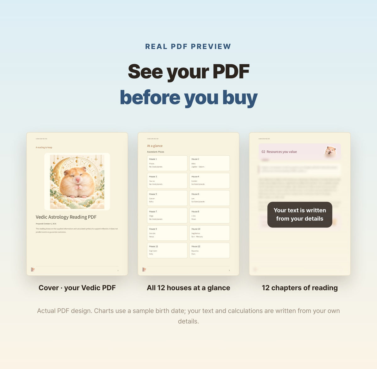Hamzzi · Vedic Astrology Reading PDF — Blurred sample PDF page layouts