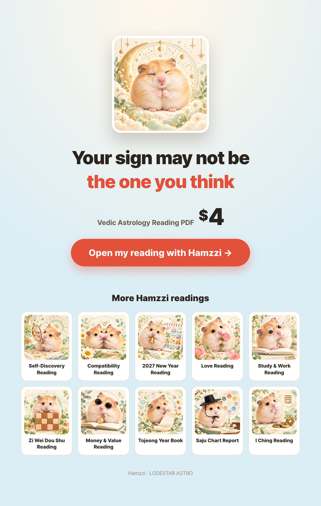 Hamzzi · Vedic Astrology Reading PDF — Personal PDF reading summary