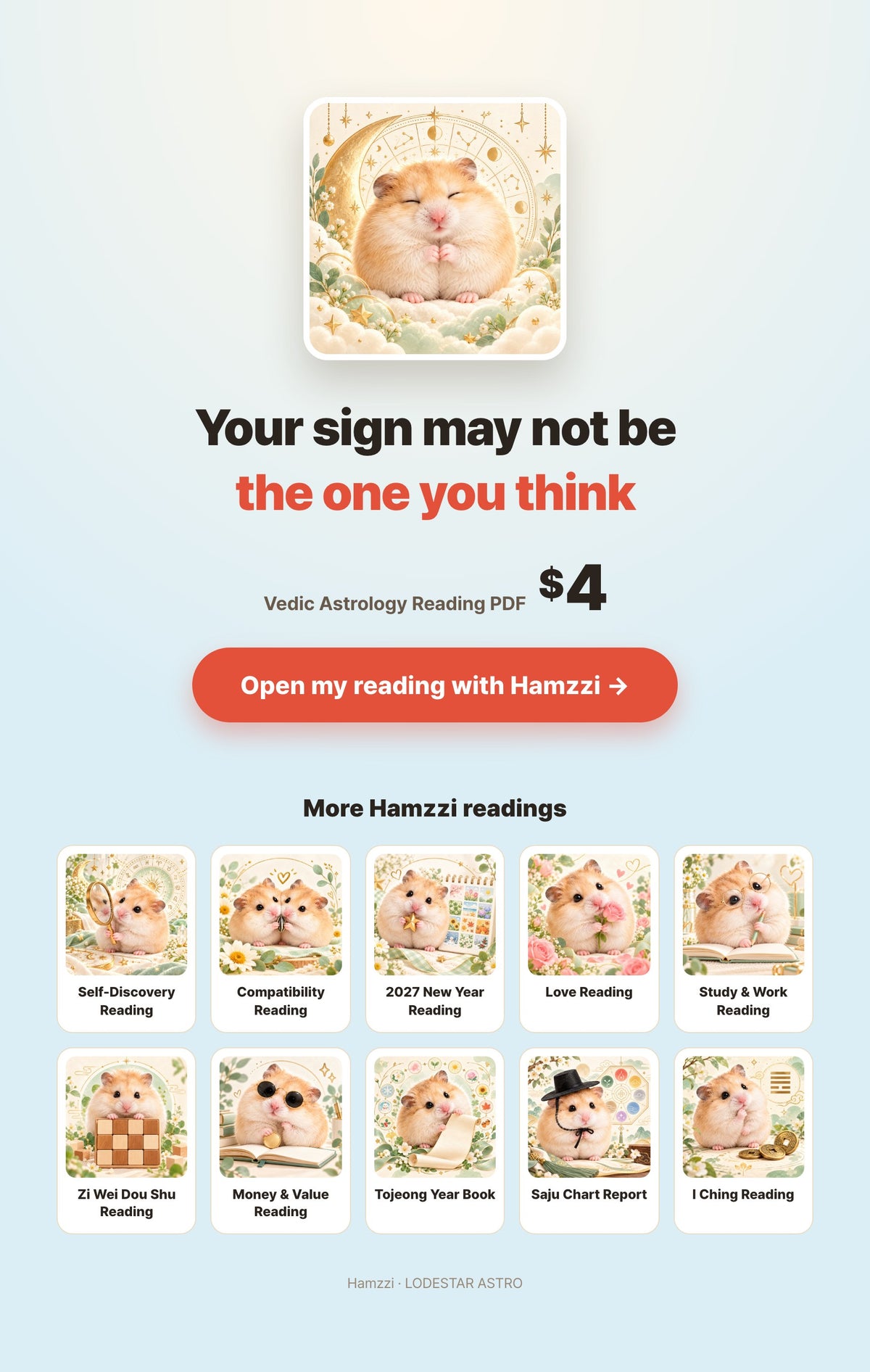 Hamzzi · Vedic Astrology Reading PDF — Personal PDF reading summary