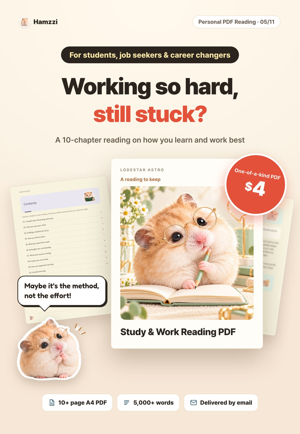 Hamzzi · Study & Work Reading PDF — Why choose this personalized PDF