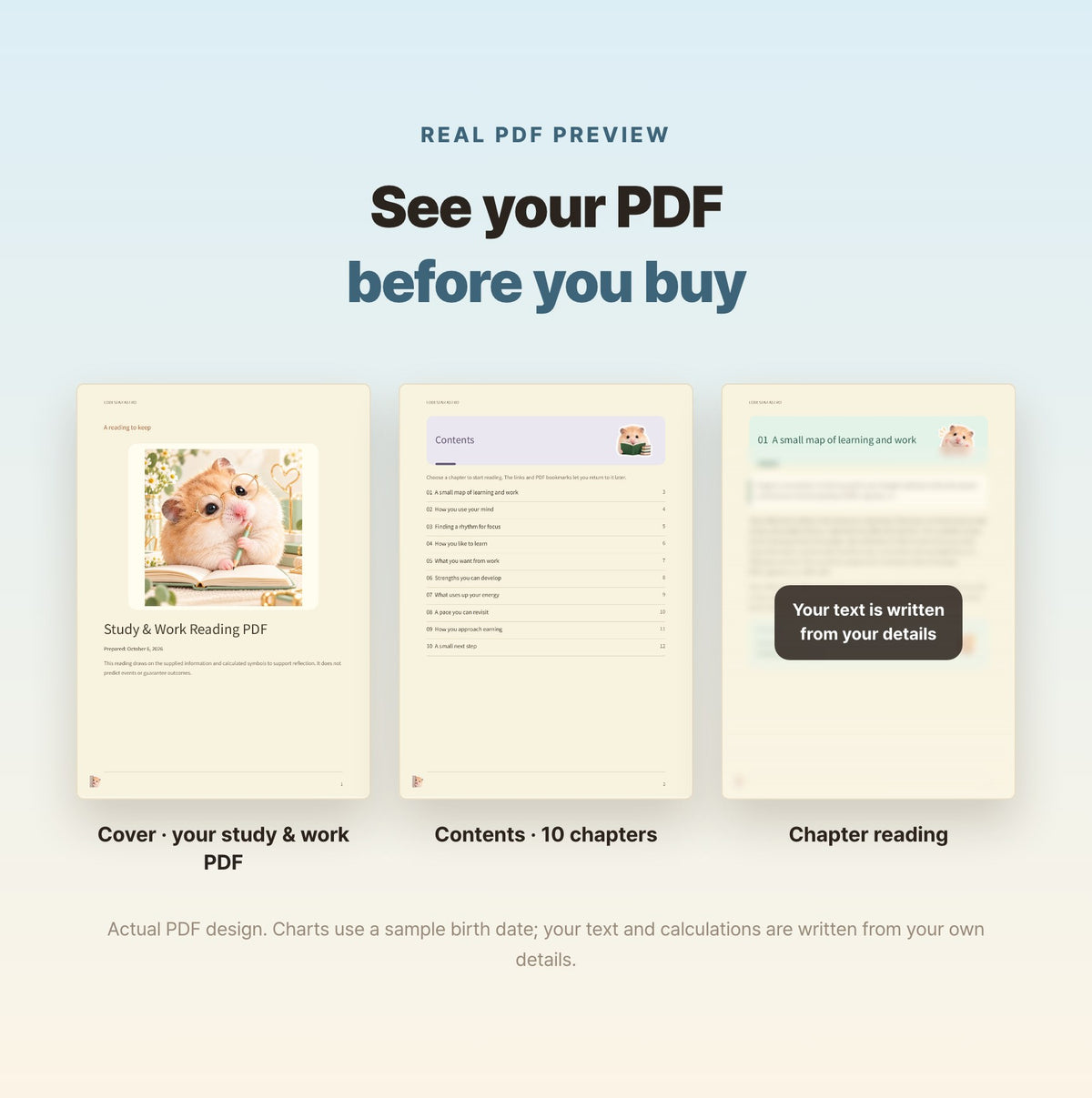 Hamzzi · Study & Work Reading PDF — Blurred sample PDF page layouts
