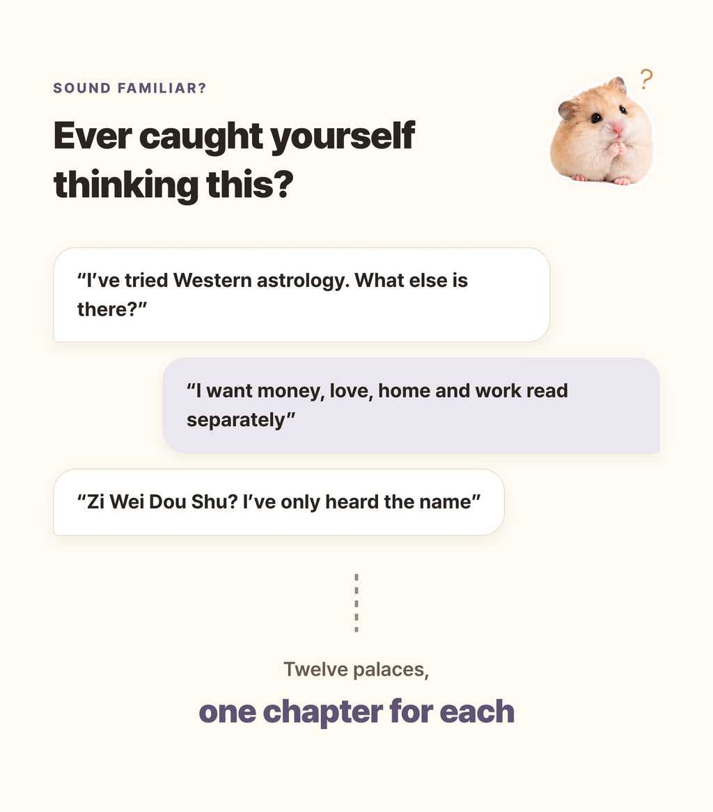 Hamzzi · Zi Wei Dou Shu Reading PDF — Who this reading is for