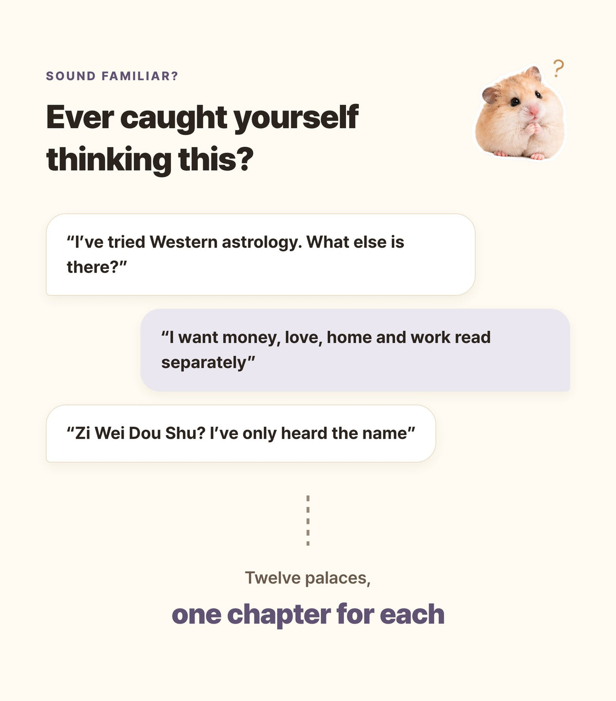Hamzzi · Zi Wei Dou Shu Reading PDF — Who this reading is for