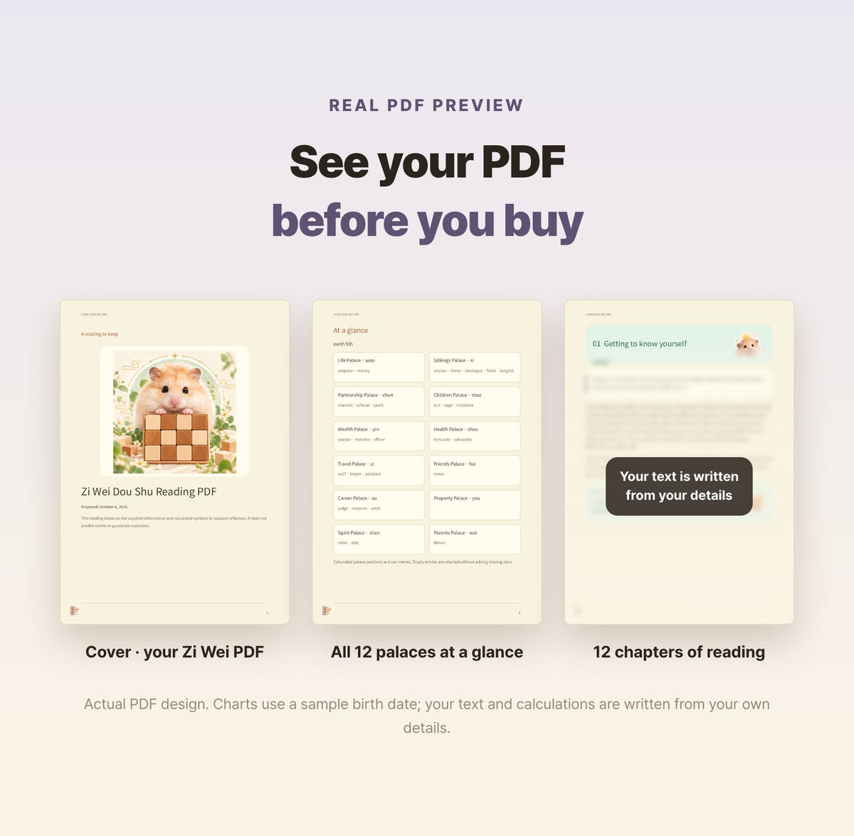 Hamzzi · Zi Wei Dou Shu Reading PDF — Blurred sample PDF page layouts