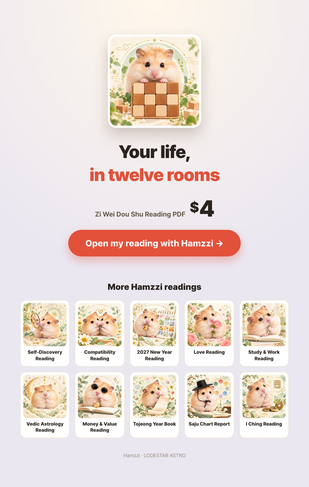 Hamzzi · Zi Wei Dou Shu Reading PDF — Personal PDF reading summary