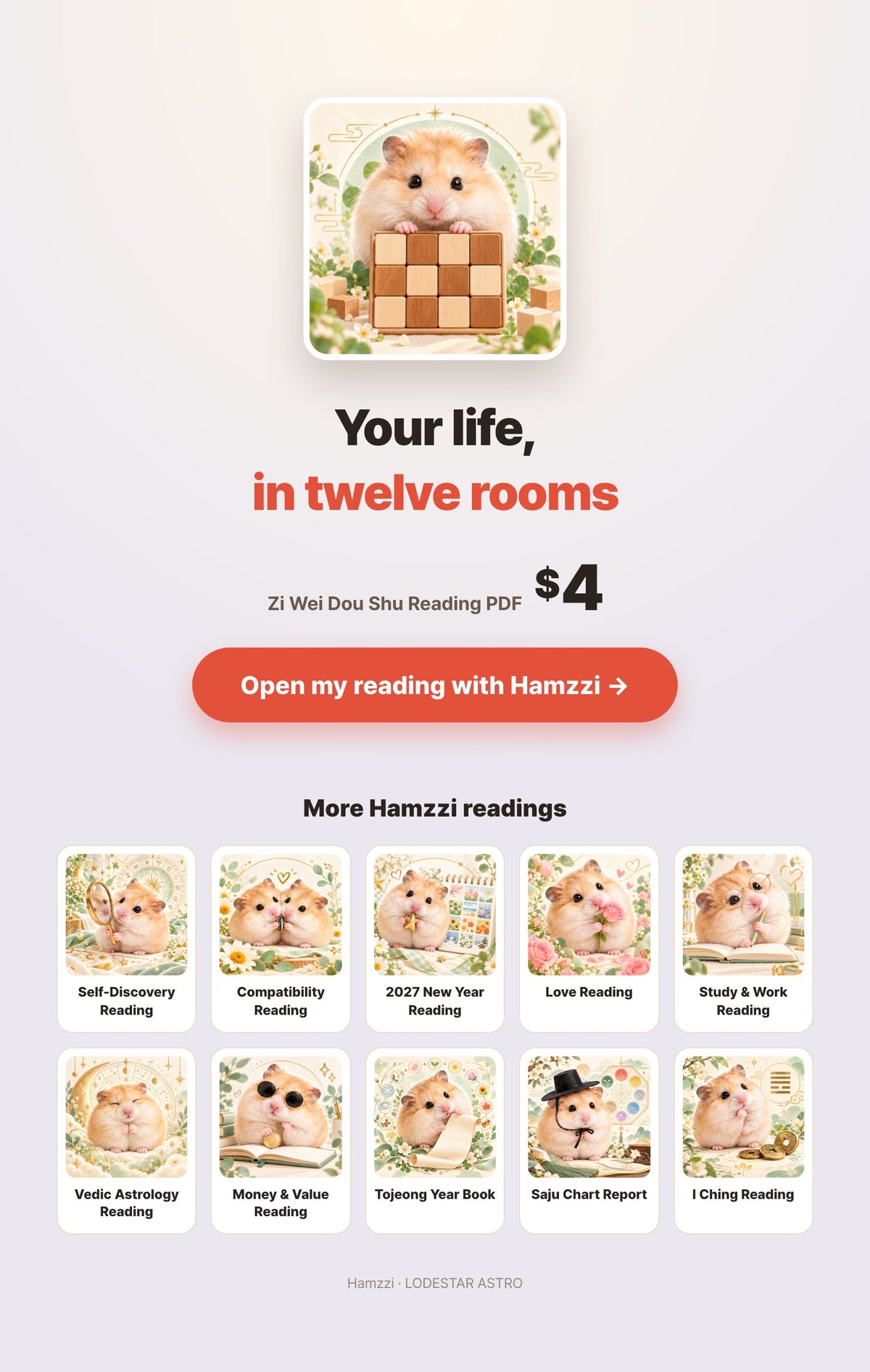 Hamzzi · Zi Wei Dou Shu Reading PDF — Personal PDF reading summary